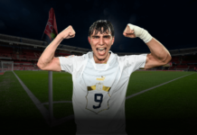 Mihajlo Cvetkovic FCN 1. FC Nürnberg Transfer Gerücht Analyse Miroslav Klose