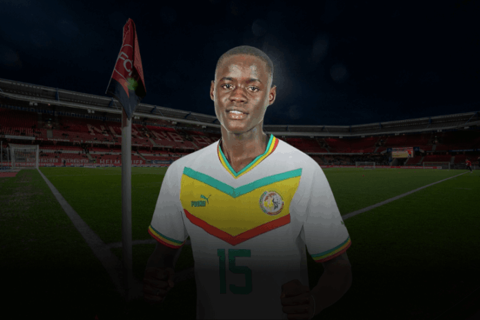 Ousseynou Ndiaye Analyse FCN 1. FC Nürnberg News CLUBFOKUS Transfer Neuzugang