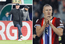 20. Saisontor: Ex-FCN-Stürmer unter Europas Top-Scorern neben Kane, Mbappé & Haaland 1. FC Nürnberg FCN News Analyse Ex Stürmer ehemaliger Stürmer Mikael Ishak Lech Posen Mainz 05 Urs Fischer Erling Haaland