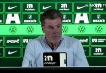 1. FC Nürnberg FCN News Analyse CLUBFOKUS Dieter Hecking